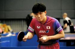 开云体育官方网站-波兰乒乓球队轻取日本乒乓球队，张本智和惊艳世界的简单介绍